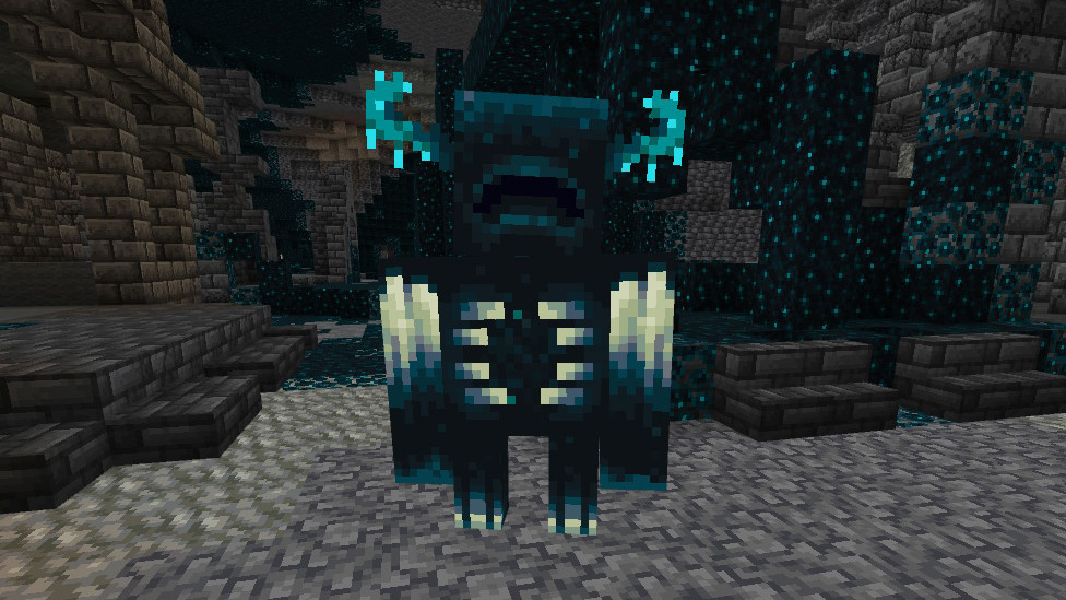 Warden Blank Meme Template