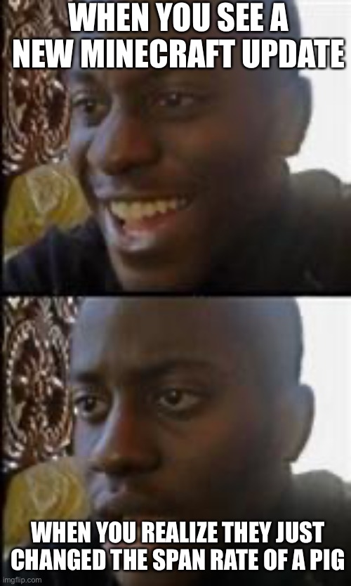 black guy happy sad | WHEN YOU SEE A NEW MINECRAFT UPDATE; WHEN YOU REALIZE THEY JUST CHANGED THE SPAN RATE OF A PIG | image tagged in black guy happy sad | made w/ Imgflip meme maker