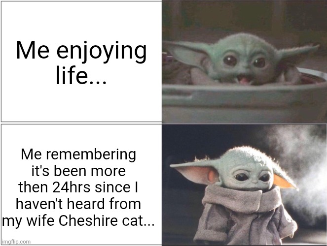 Baby Yoda happy then sad | Me enjoying life... Me remembering it's been more then 24hrs since I haven't heard from my wife Cheshire cat... | image tagged in baby yoda happy then sad | made w/ Imgflip meme maker