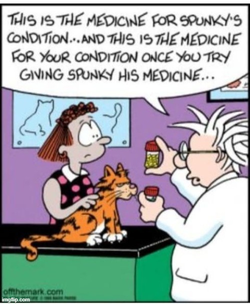 Spunky | image tagged in off the mark,cats,giving cats medicine,funny | made w/ Imgflip meme maker