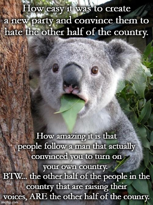 Since this won't be put up on Imgflip due to partisan BS. | How easy it was to create a new party and convince them to hate the other half of the country. How amazing it is that people follow a man that actually convinced you to turn on your own country. 
BTW... the other half of the people in the country that are raising their voices, ARE the other half of the counry. | image tagged in memes,surprised koala,maga is a hate word,trump destroyed the peace in america,trump is like a stupid hitler | made w/ Imgflip meme maker