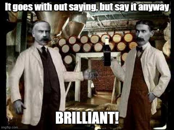 Brilliant! | It goes with out saying, but say it anyway BRILLIANT! | image tagged in brilliant | made w/ Imgflip meme maker