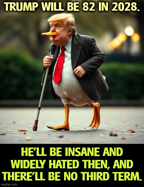 Donald Trump, the Lame Duck | TRUMP WILL BE 82 IN 2028. HE'LL BE INSANE AND WIDELY HATED THEN, AND THERE'LL BE NO THIRD TERM. | image tagged in donald trump the lame duck,trump,old,lame duck,senile dementia | made w/ Imgflip meme maker