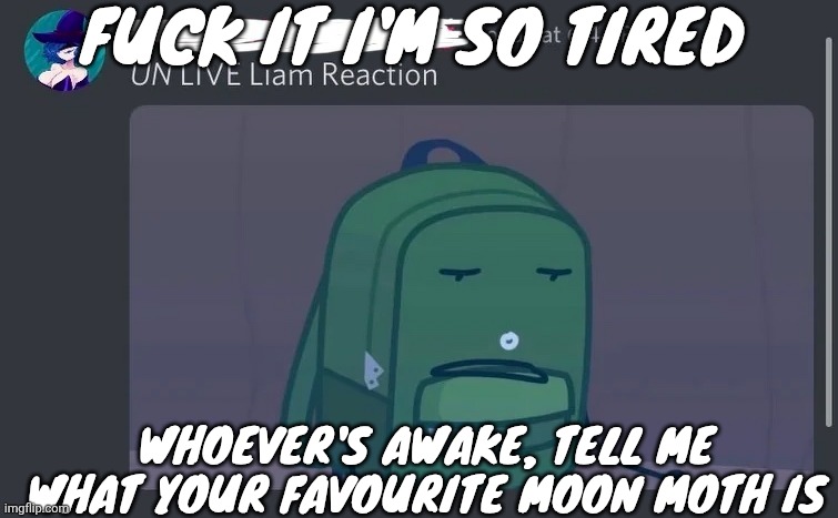 UN LIVE Liam reaction | FUCK IT I'M SO TIRED; WHOEVER'S AWAKE, TELL ME WHAT YOUR FAVOURITE MOON MOTH IS | image tagged in un live liam reaction | made w/ Imgflip meme maker