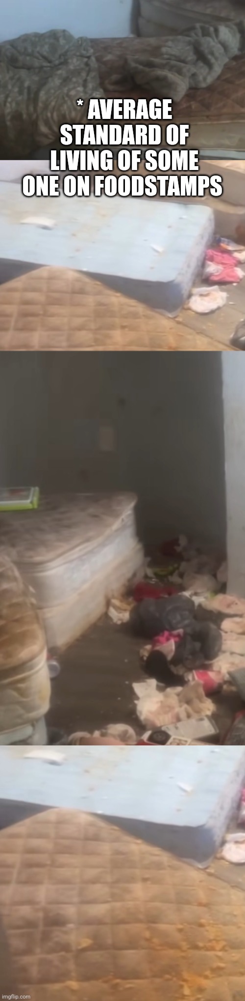 Foodstamps and housing : Demonrats are dirtiest demographic in America | * AVERAGE STANDARD OF LIVING OF SOME ONE ON FOODSTAMPS | image tagged in demon,wtf | made w/ Imgflip meme maker