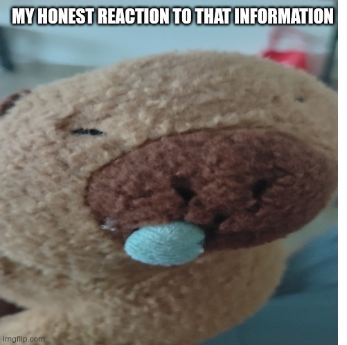 MY HONEST REACTION TO THAT INFORMATION | image tagged in make your own meme | made w/ Imgflip meme maker