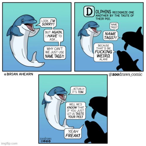 image tagged in dolphins,name tags,taste,pee,eww,wtf | made w/ Imgflip meme maker