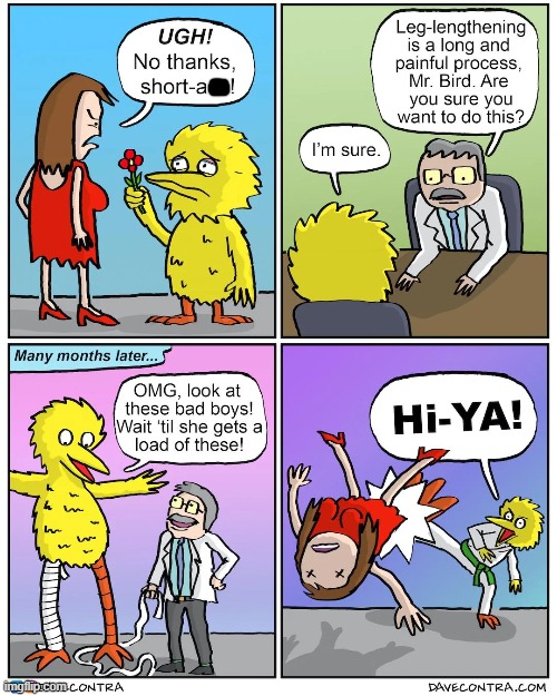image tagged in sesame street,big bird,legs,long,karate,kick | made w/ Imgflip meme maker