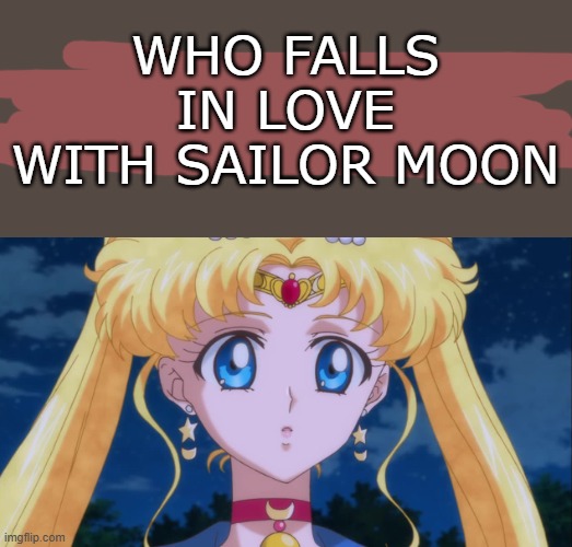 who falls in love with sailor moon ? Blank Meme Template