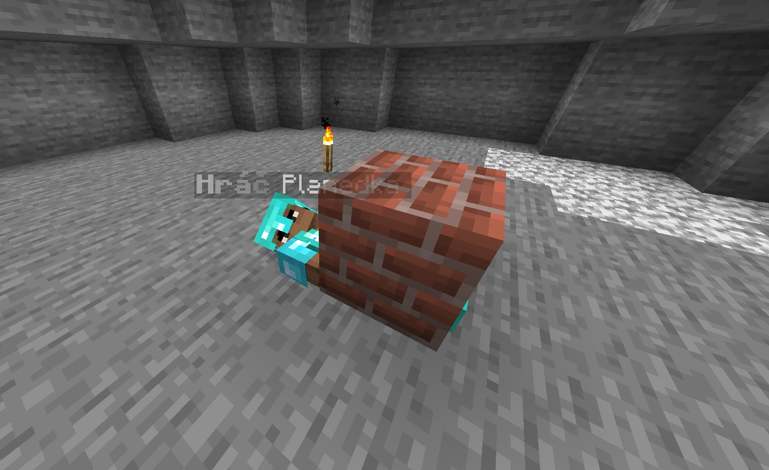 Bro is bricked up Blank Meme Template