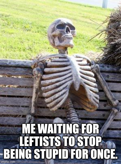 Waiting Skeleton Meme | ME WAITING FOR LEFTISTS TO STOP BEING STUPID FOR ONCE. | image tagged in memes,waiting skeleton | made w/ Imgflip meme maker