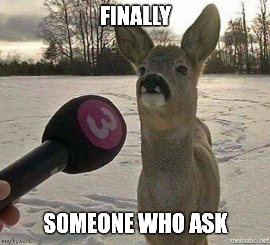 Deer interviewed | FINALLY; SOMEONE WHO ASK | image tagged in deer interviewed | made w/ Imgflip meme maker