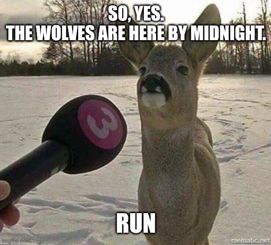 Deer interviewed | SO, YES.
THE WOLVES ARE HERE BY MIDNIGHT. RUN | image tagged in deer interviewed | made w/ Imgflip meme maker