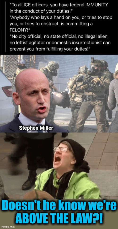 Libs above the law | Stephen Miller; Doesn't he know we're
ABOVE THE LAW?! | image tagged in memes,above the law,democrats,ice,illegal immigrants,stephen miller | made w/ Imgflip meme maker