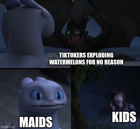 How to train your dragon 3 | TIKTOKERS EXPLODING WATERMELONS FOR NO REASON; KIDS; MAIDS | image tagged in how to train your dragon 3 | made w/ Imgflip meme maker
