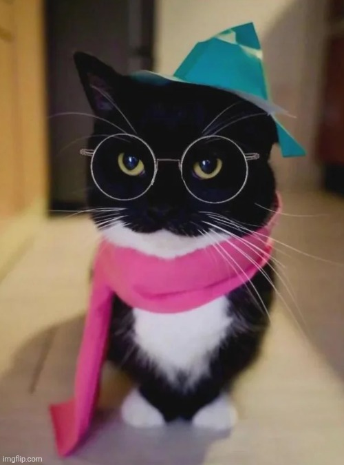 (RALSEI CAT!!! - Gabriel) | made w/ Imgflip meme maker