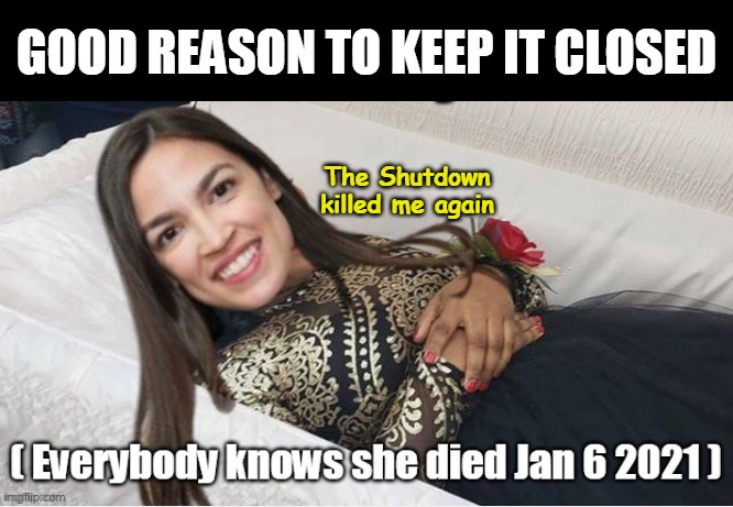 "Non Essential Worker" poster Gal | GOOD REASON TO KEEP IT CLOSED; The Shutdown killed me again | image tagged in aoc dead shutdown meme | made w/ Imgflip meme maker
