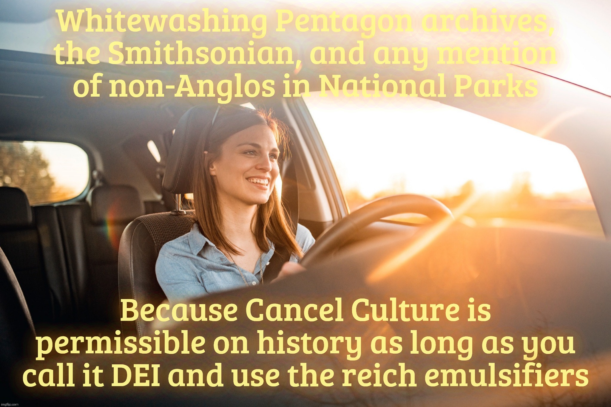 Smiling in the car | Whitewashing Pentagon archives, the Smithsonian, and any mention
of non-Anglos in National Parks; Because Cancel Culture is permissible on history as long as you call it DEI and use the reich emulsifiers | image tagged in smiling in the car | made w/ Imgflip meme maker