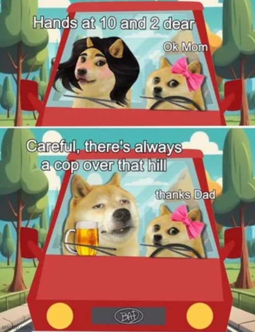 The difference between moms and dads | Hands at 10 and 2 dear; thanks Dad; Ok Mom; Careful, there's always a cop over that hill | image tagged in memes,funny,funny memes,doge,dogs,animals | made w/ Imgflip meme maker