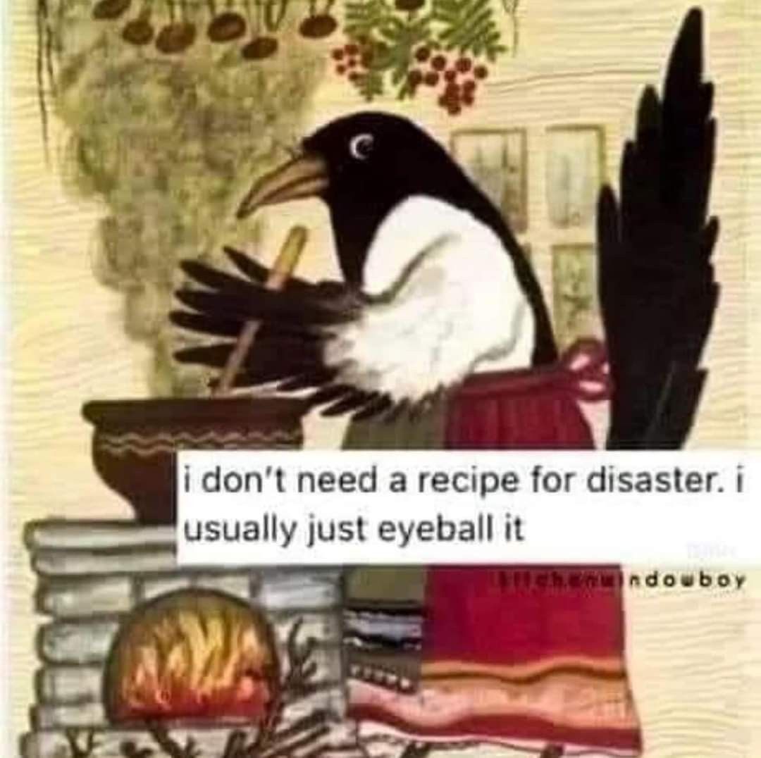I don't need a recipe for disaster Blank Meme Template