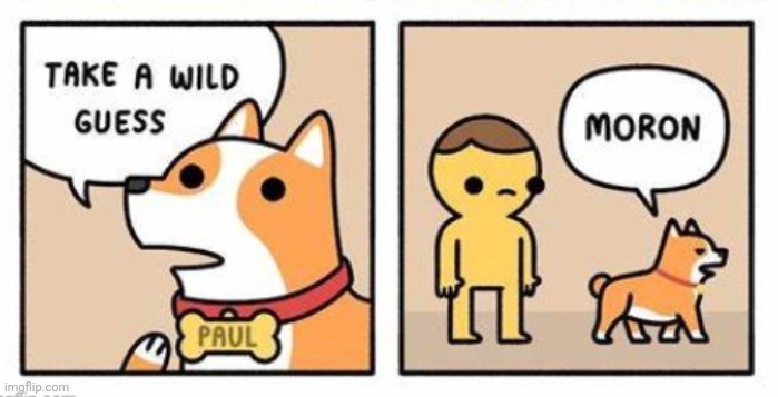 take a wild guess moron | image tagged in take a wild guess moron | made w/ Imgflip meme maker