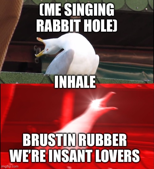 Screaming bird | (ME SINGING RABBIT HOLE) INHALE BRUSTIN RUBBER WE’RE INSANT LOVERS | image tagged in screaming bird | made w/ Imgflip meme maker
