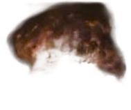 Curly hair wig Meme Template