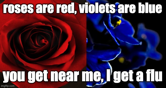 roses are red violets are blue - flu | roses are red, violets are blue; you get near me, I get a flu | image tagged in roses are red violets are blue,love,poem,irony,sarcasm | made w/ Imgflip meme maker