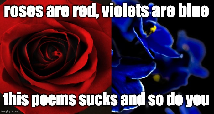 roses are red violets are blue - poem sucks | roses are red, violets are blue; this poems sucks and so do you | image tagged in roses are red violets are blue,poem,love,irony,sarcasm | made w/ Imgflip meme maker