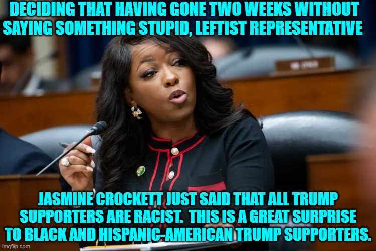 If the day ends in a 'y' some 'important' leftist is saying something stupid. | DECIDING THAT HAVING GONE TWO WEEKS WITHOUT SAYING SOMETHING STUPID, LEFTIST REPRESENTATIVE; JASMINE CROCKETT JUST SAID THAT ALL TRUMP SUPPORTERS ARE RACIST.  THIS IS A GREAT SURPRISE TO BLACK AND HISPANIC-AMERICAN TRUMP SUPPORTERS. | image tagged in yep | made w/ Imgflip meme maker