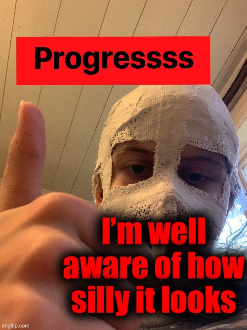 It will hopefully look better once fully done | I’m well aware of how silly it looks | made w/ Imgflip meme maker