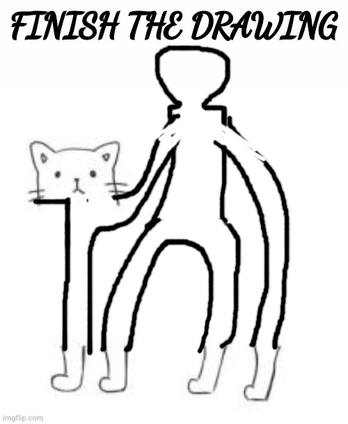 finish the drawing | image tagged in finish the drawing | made w/ Imgflip meme maker