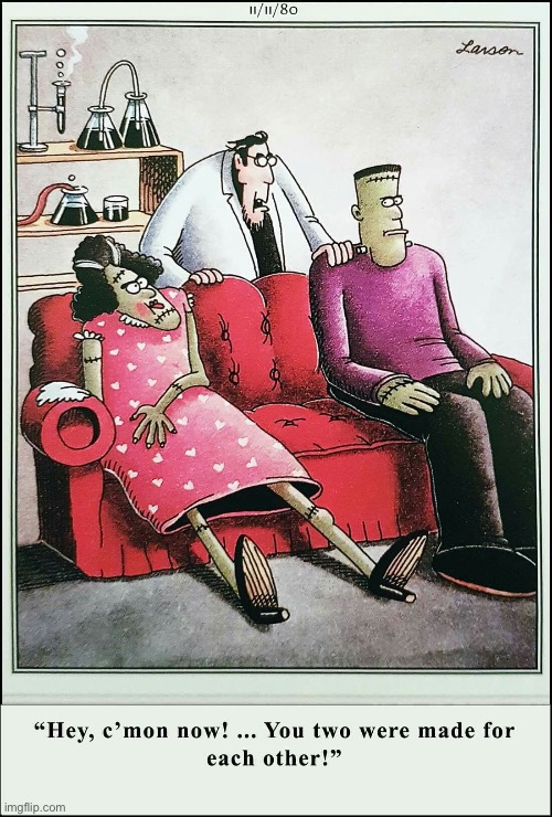 Monster marriage counseling… | image tagged in the far side,comics,dr frankenstein,monsters,made for each other | made w/ Imgflip meme maker