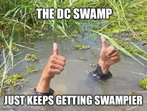 THE DC SWAMP JUST KEEPS GETTING SWAMPIER | image tagged in flooding thumbs up | made w/ Imgflip meme maker