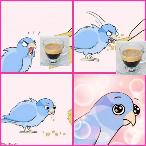 Bird cracker blank | image tagged in bird cracker blank | made w/ Imgflip meme maker