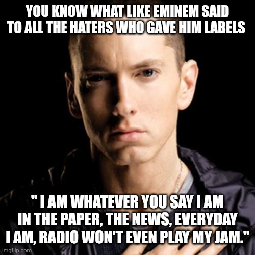 Eminem Meme | YOU KNOW WHAT LIKE EMINEM SAID TO ALL THE HATERS WHO GAVE HIM LABELS " I AM WHATEVER YOU SAY I AM IN THE PAPER, THE NEWS, EVERYDAY I AM, RAD | image tagged in memes,eminem | made w/ Imgflip meme maker