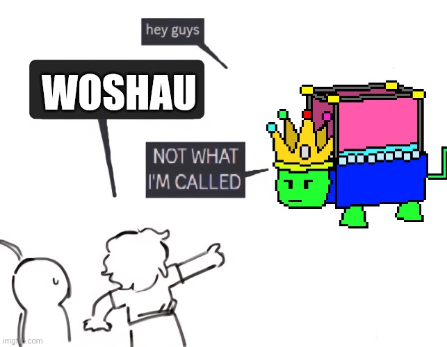 not what im called | WOSHAU | image tagged in not what im called | made w/ Imgflip meme maker