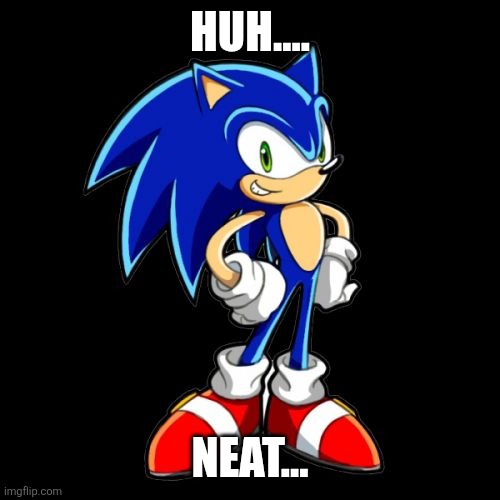 You're Too Slow Sonic Meme | HUH.... NEAT... | image tagged in memes,you're too slow sonic | made w/ Imgflip meme maker