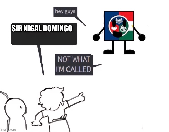 not what im called | SIR NIGAL DOMINGO | image tagged in not what im called,sans le topic | made w/ Imgflip meme maker