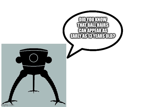 Fun facts with bert | DID YOU KNOW THAT BALL HAIRS CAN APPEAR AS EARLY AS 13 YEARS OLD? | image tagged in bert | made w/ Imgflip meme maker