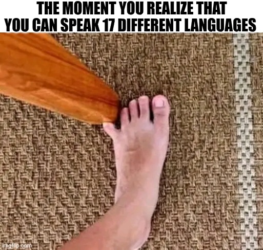 The Moment You Realize That You Can Speak 17 Different Languages | THE MOMENT YOU REALIZE THAT YOU CAN SPEAK 17 DIFFERENT LANGUAGES | image tagged in chris joines | made w/ Imgflip meme maker