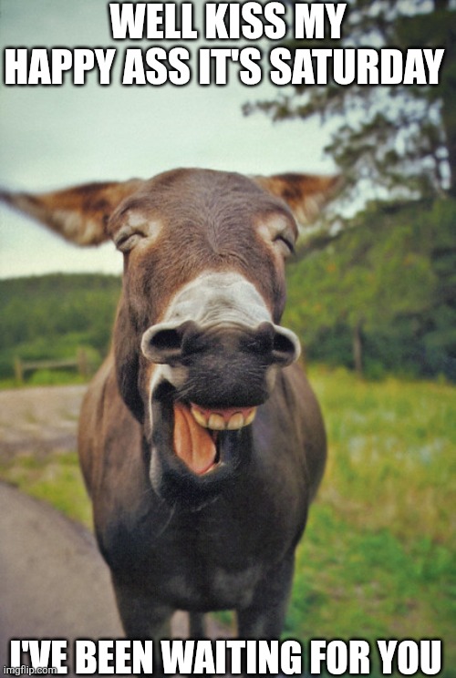 Well Kiss My Happy Ass | WELL KISS MY HAPPY ASS IT'S SATURDAY; I'VE BEEN WAITING FOR YOU | image tagged in chris joines | made w/ Imgflip meme maker
