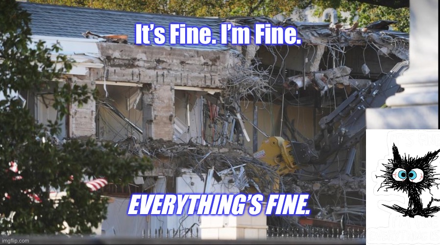 Stress in USA | It’s Fine. I’m Fine. EVERYTHING’S FINE. | image tagged in east wing demolished | made w/ Imgflip meme maker