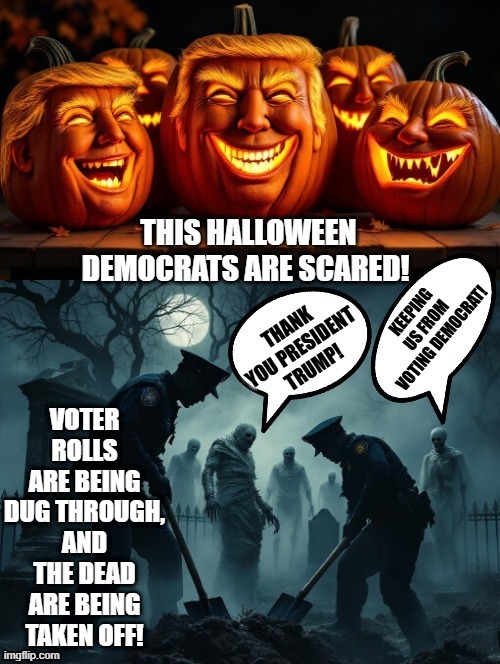 This Halloween | VOTER ROLLS ARE BEING DUG THROUGH, AND THE DEAD ARE BEING TAKEN OFF! | image tagged in grave digger | made w/ Imgflip meme maker