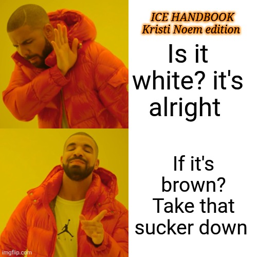 Drake Hotline Bling Meme | Is it white? it's alright If it's brown? Take that sucker down ICE HANDBOOK Kristi Noem edition | image tagged in memes,drake hotline bling | made w/ Imgflip meme maker