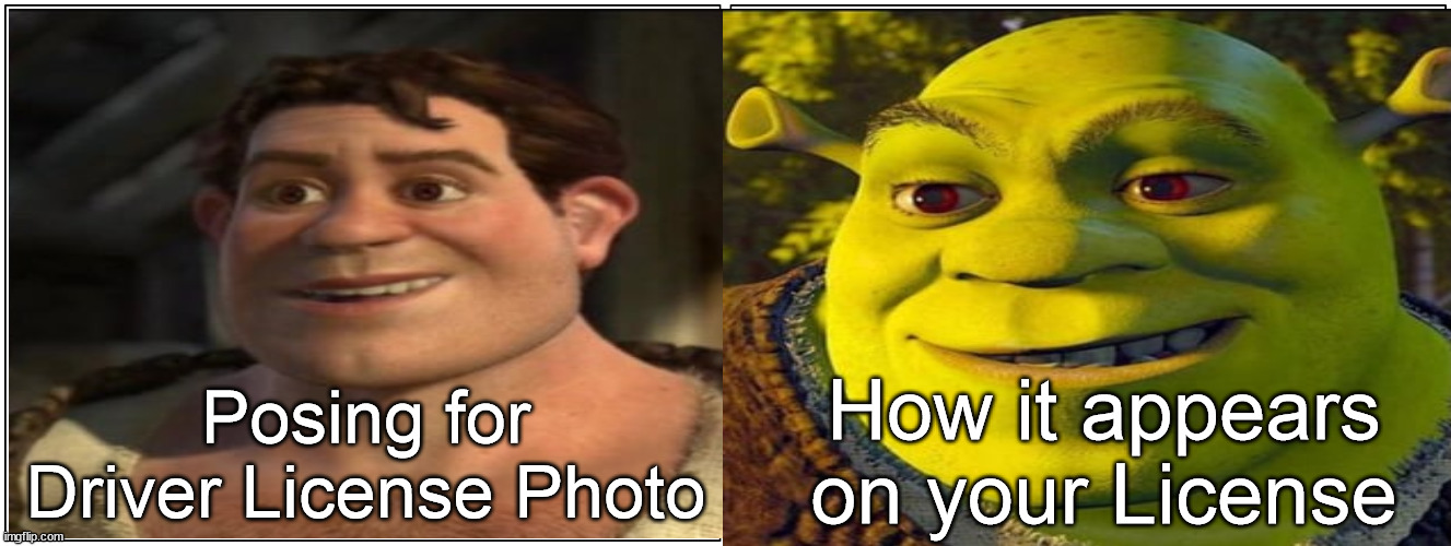 License Photo | How it appears on your License; Posing for Driver License Photo | image tagged in photogenic,driver license,smile,don't blink,shrek | made w/ Imgflip meme maker