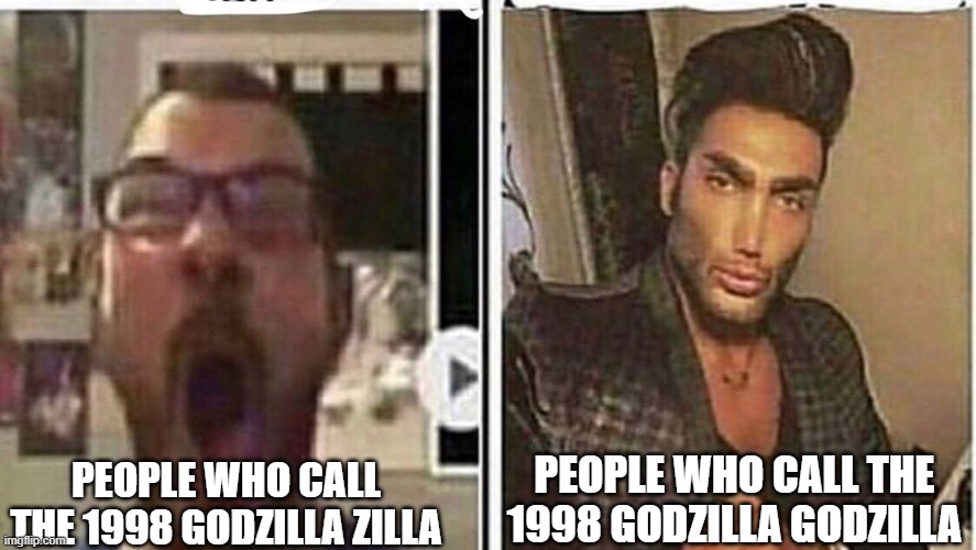 that the 1998 movie is not called zilla it is called godzilla | PEOPLE WHO CALL THE 1998 GODZILLA GODZILLA; PEOPLE WHO CALL THE 1998 GODZILLA ZILLA | image tagged in average fan vs average enjoyer | made w/ Imgflip meme maker