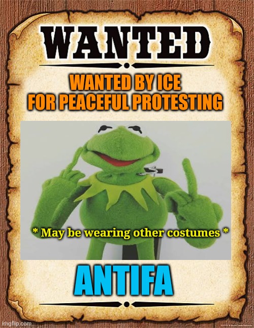 wanted poster | WANTED BY ICE
FOR PEACEFUL PROTESTING ANTIFA * May be wearing other costumes * | image tagged in wanted poster | made w/ Imgflip meme maker