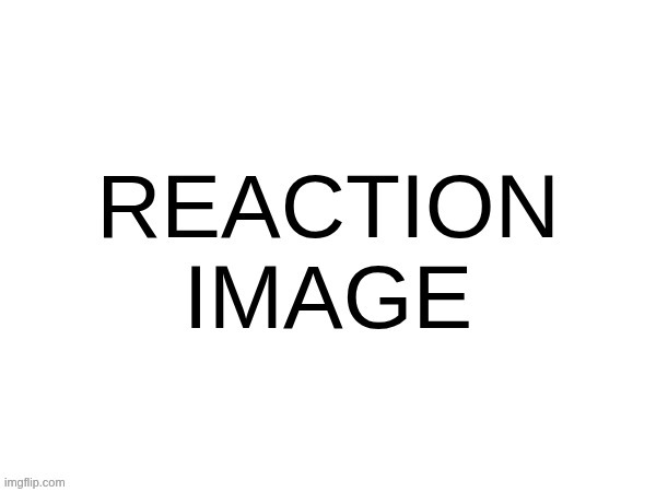 REACTION IMAGE | image tagged in reaction image | made w/ Imgflip meme maker