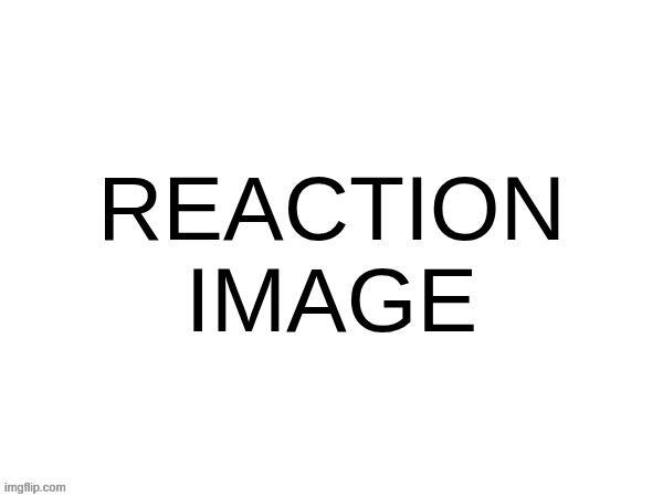 REACTION IMAGE | image tagged in reaction image | made w/ Imgflip meme maker